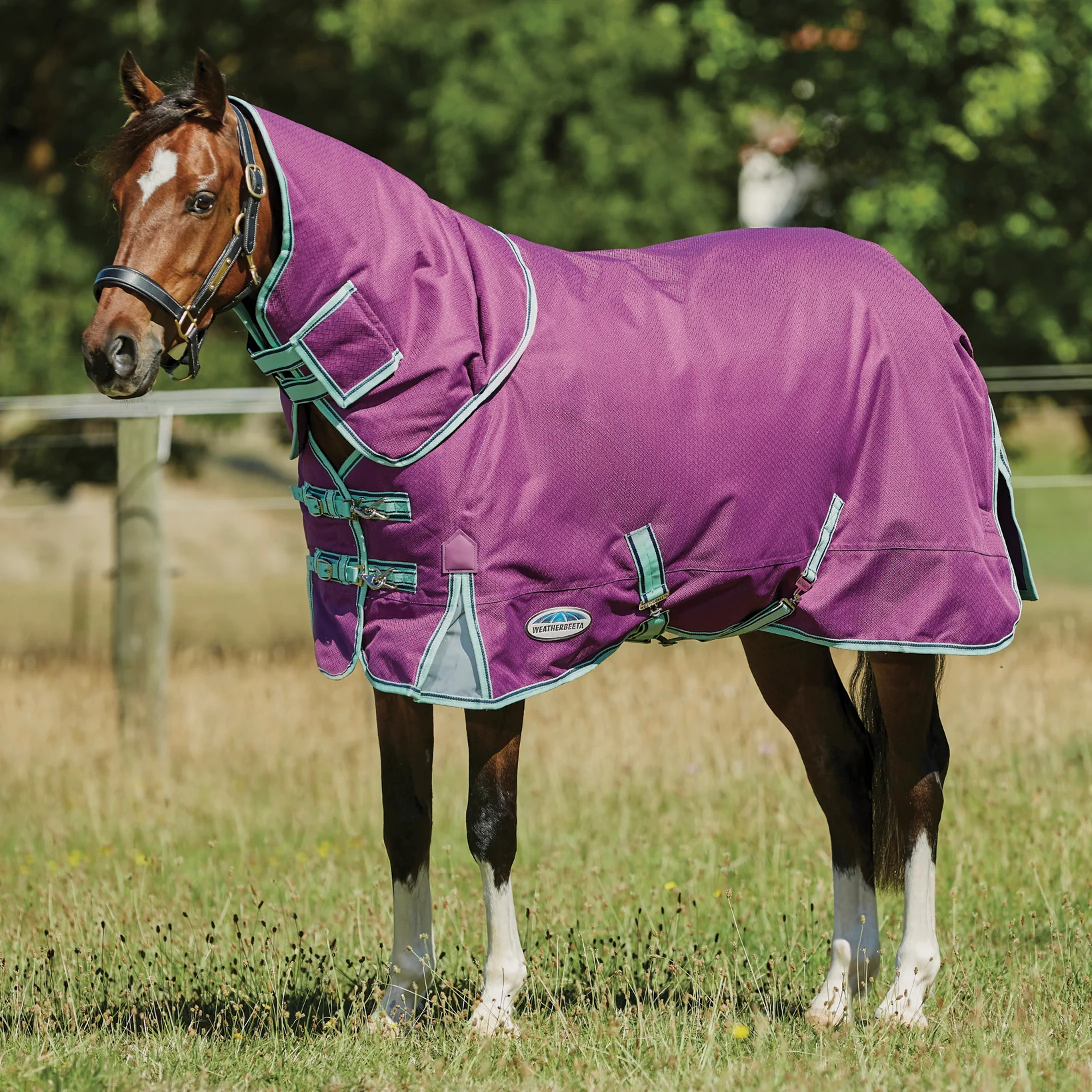 Flash Sale: 75% Off Select Blankets